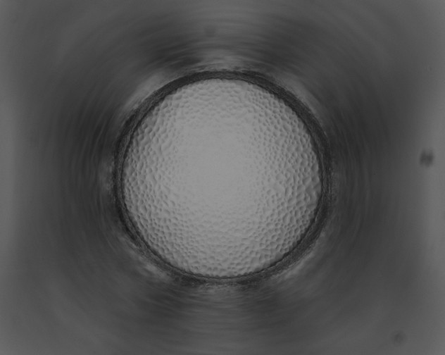 X0000091370778200708311525