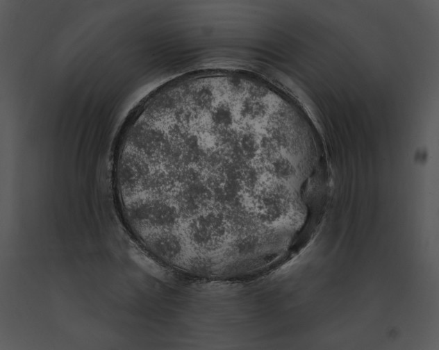 X0000091370779200708311525