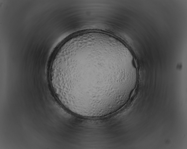 X0000091370780200708311525