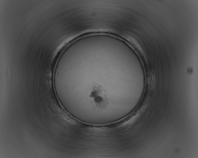 X0000091370781200708311525