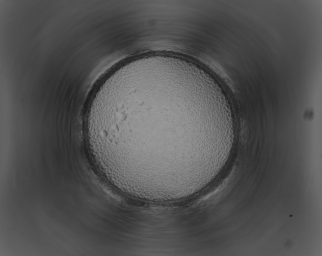 X0000091370782200708311525