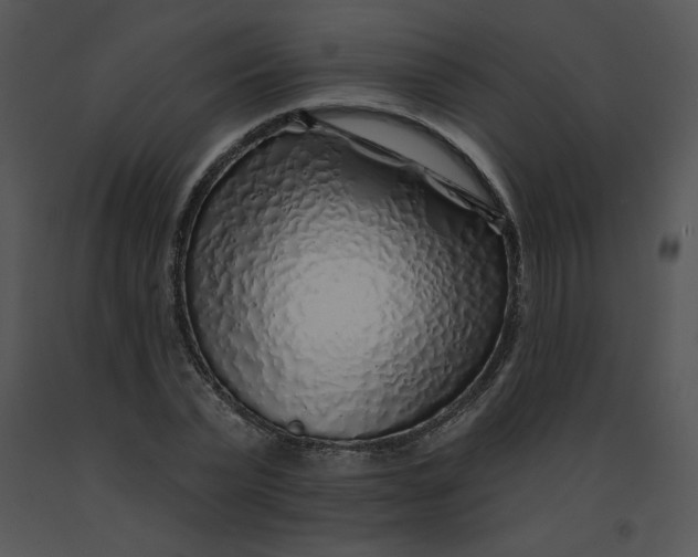 X0000091370783200708311524