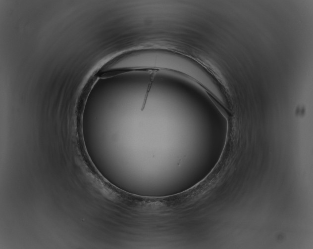 X0000091370784200708311524