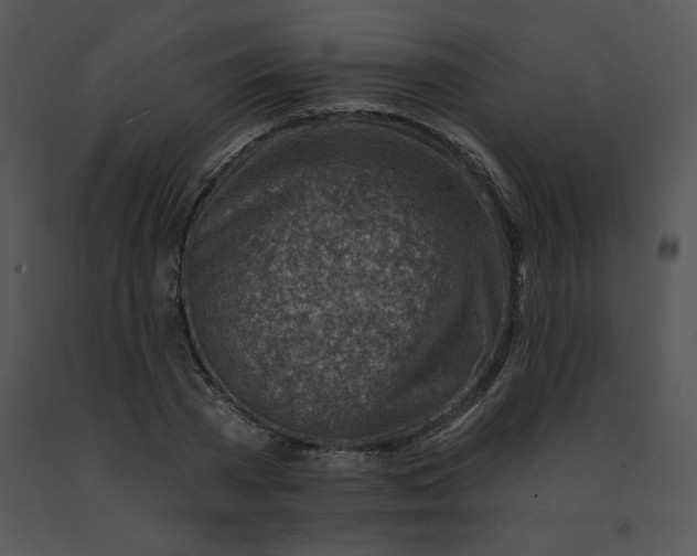 X0000091370785200708311524