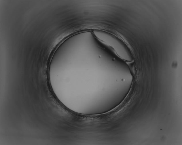 X0000091370786200708311524