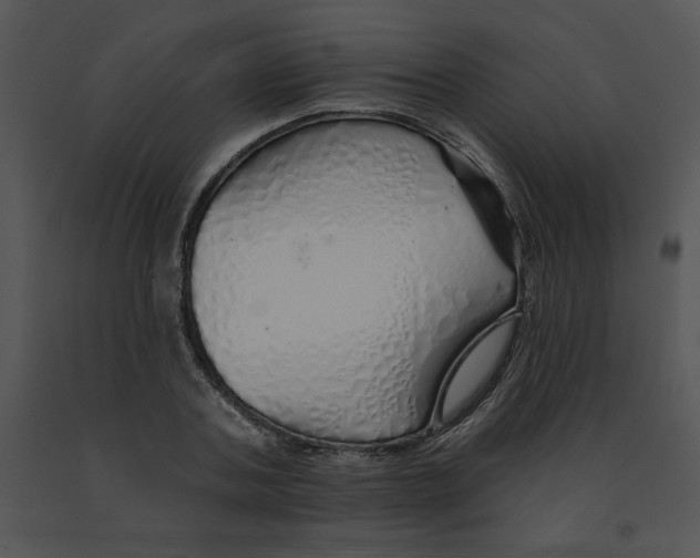 X0000091370787200708311524