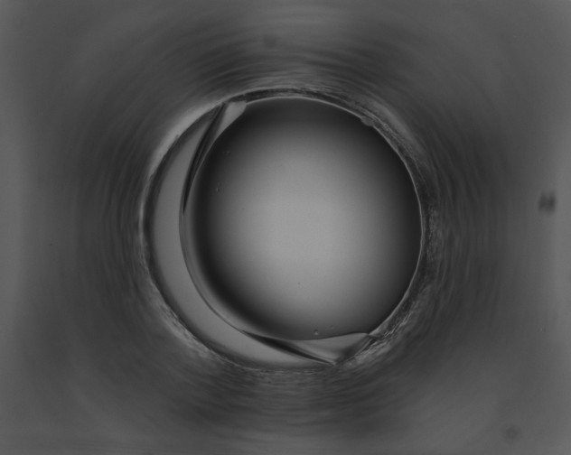 X0000091370788200708311524