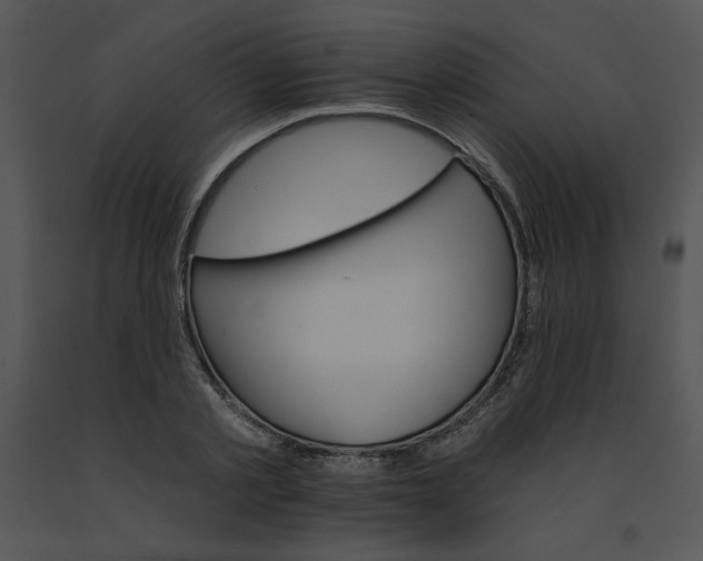 X0000091370789200708311524