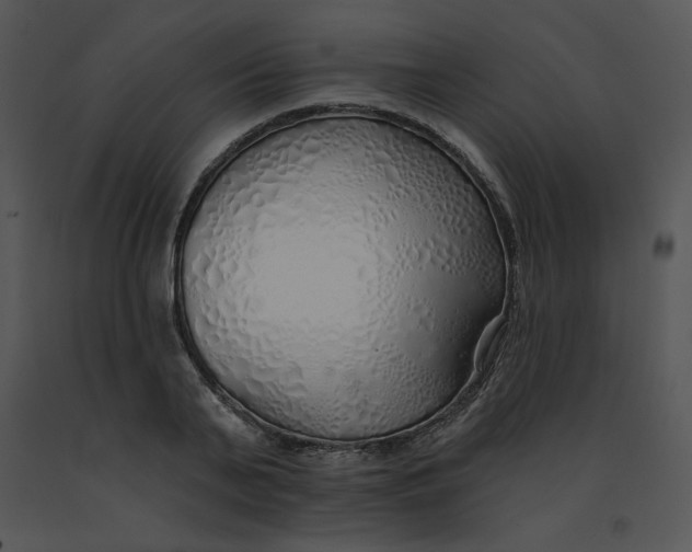 X0000091370791200708311524