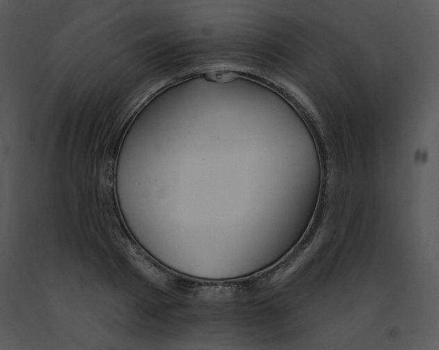 X0000091370793200708311524