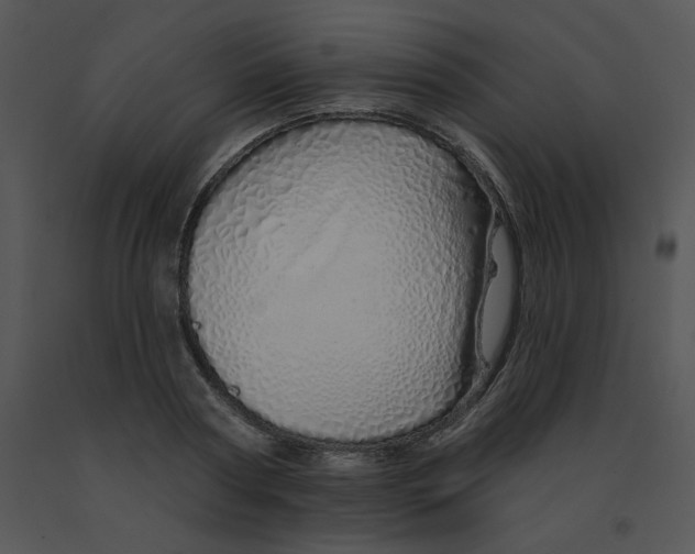 X0000091370794200708311524