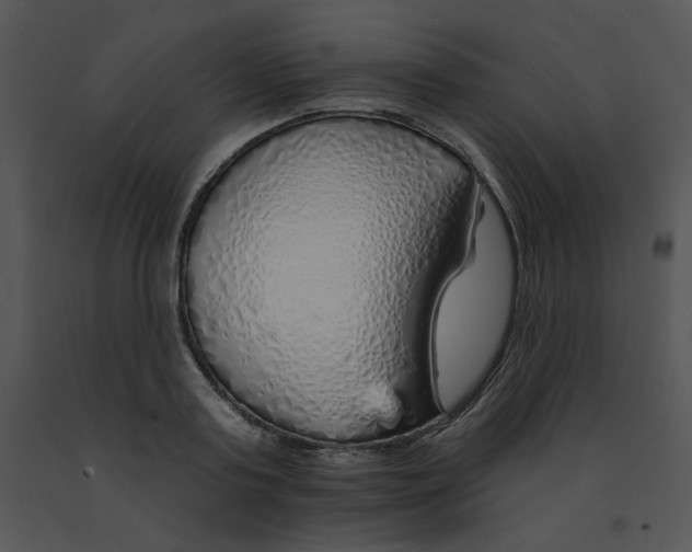 X0000091370795200708311524