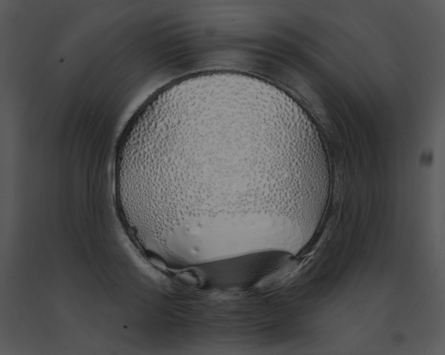 X0000091370796200708311524