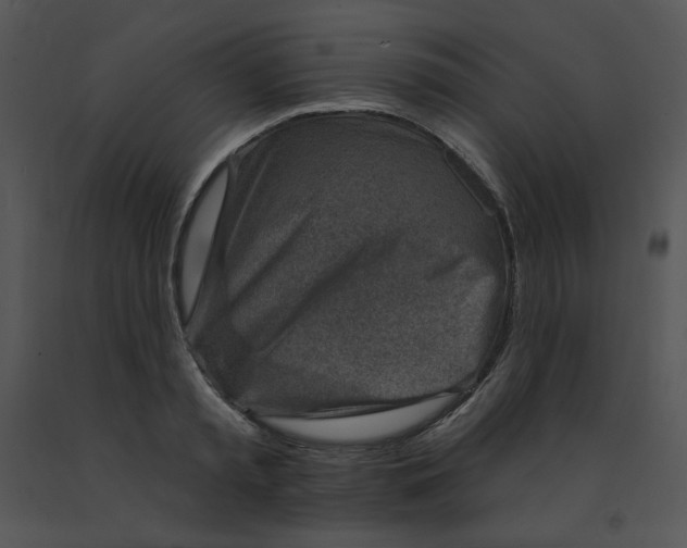 X0000091370797200708311524