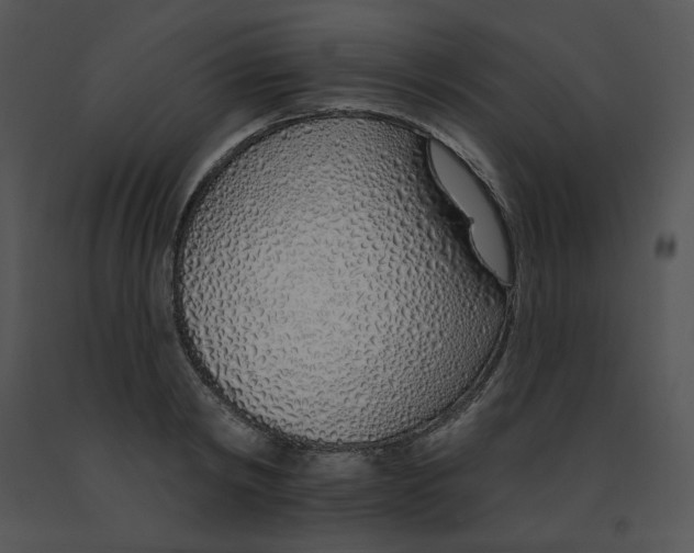 X0000091370798200708311524