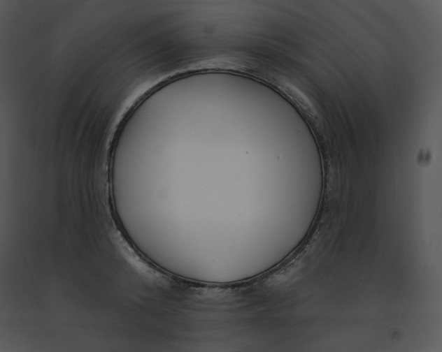 X0000091370800200708311524