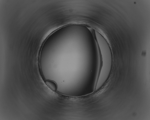 X0000091370803200708311524