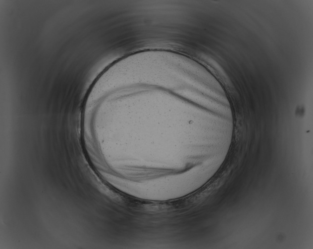 X0000091370804200708311524