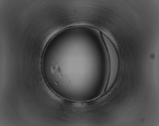 X0000091370805200708311524