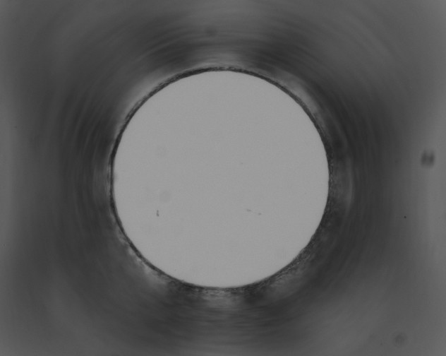 X0000091370807200708311524