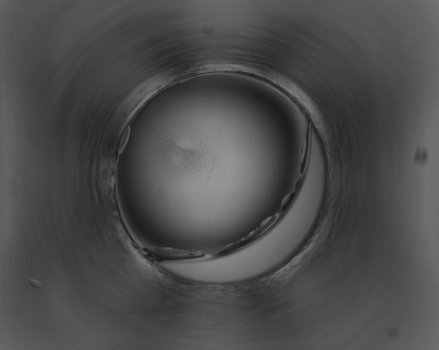 X0000091370809200708311524