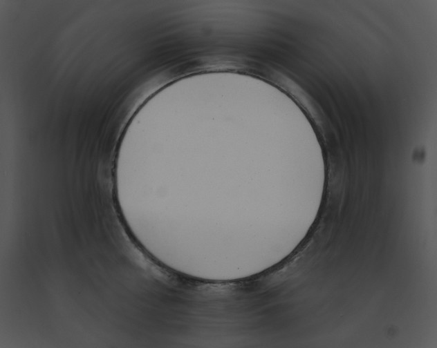 X0000091370810200708311524