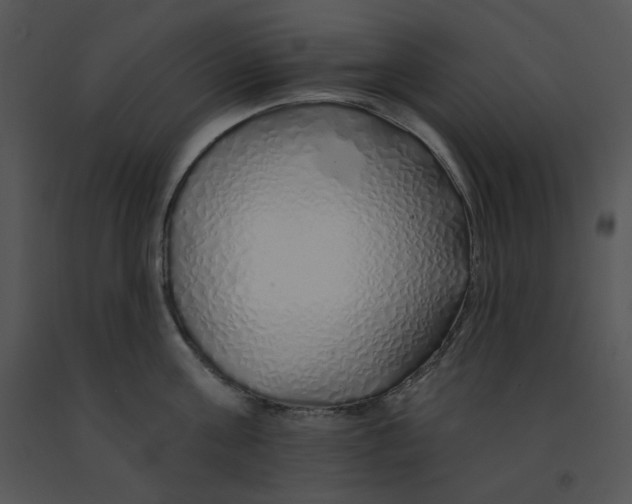 X0000091370811200708311524