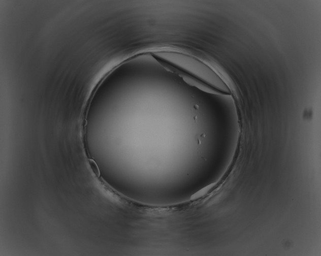 X0000091370813200708311524