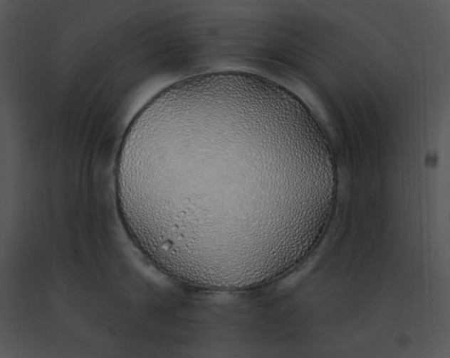 X0000091370814200708311524