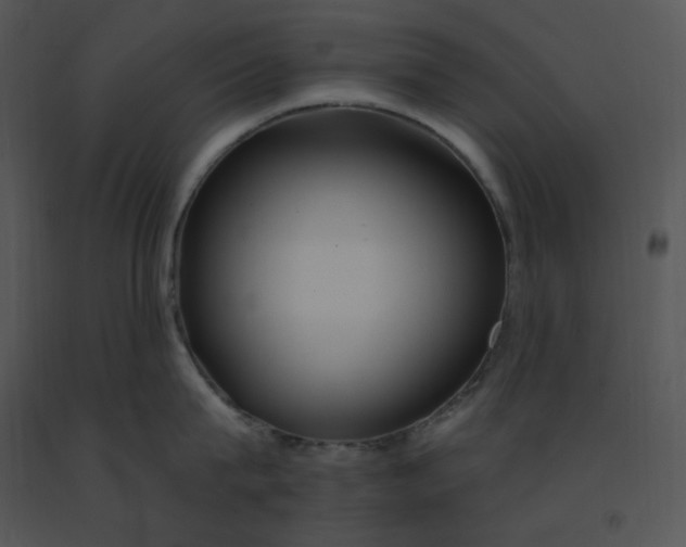 X0000091370815200708311524