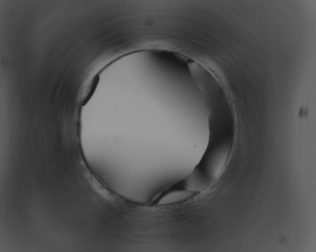 X0000091370816200708311524