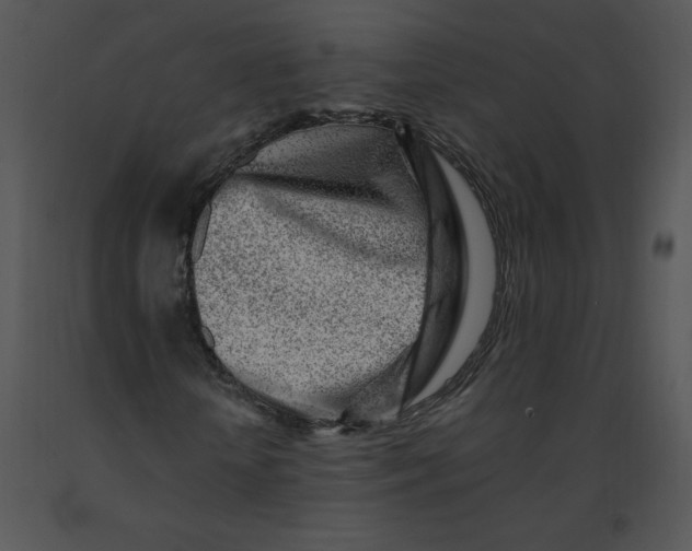 X0000091370818200708311523