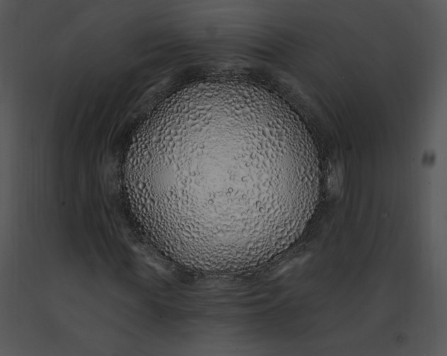 X0000091370819200708311523