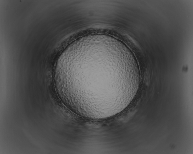 X0000091370821200708311523