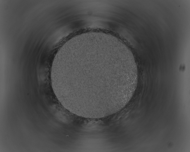 X0000091370824200708311523