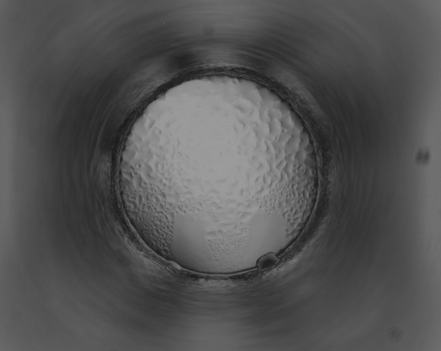 X0000091370825200708311523