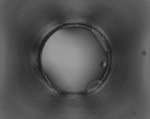 X0000091370826200708311523