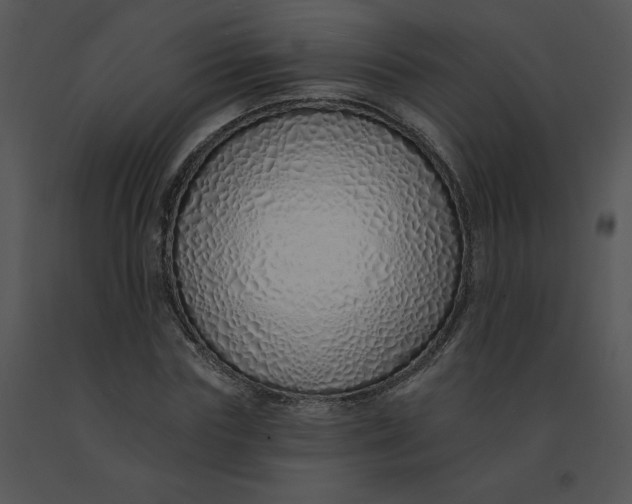 X0000091370827200708311523