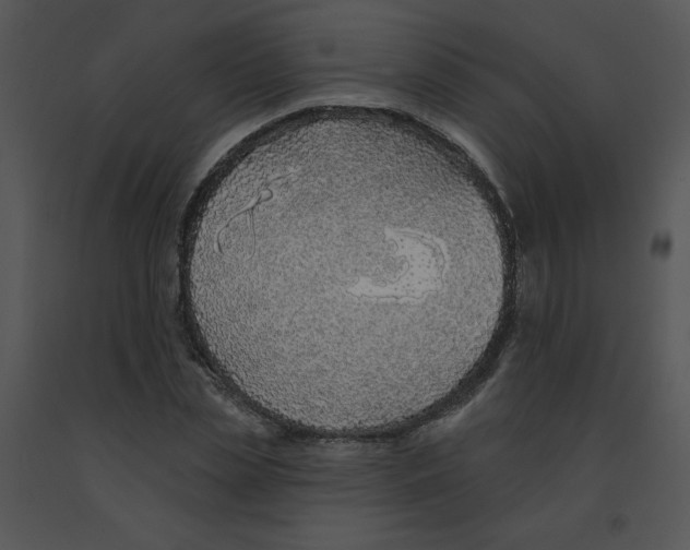 X0000091370829200708311523