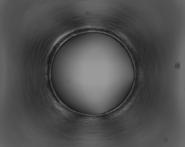 X0000091370830200708311523