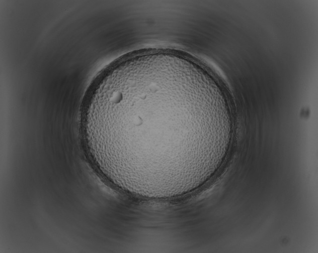 X0000091370831200708311523