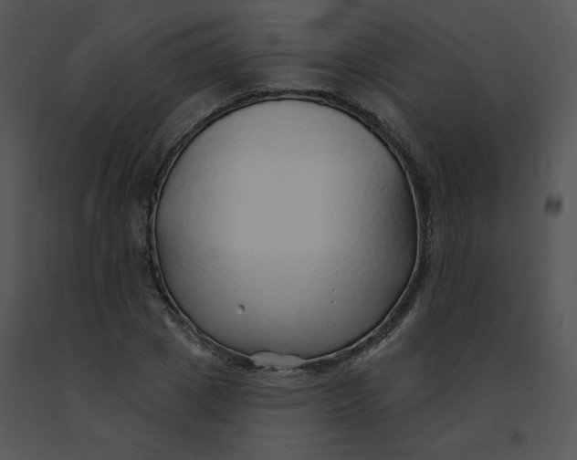 X0000091370833200708311523