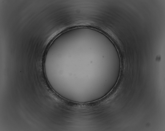 X0000091370834200708311524