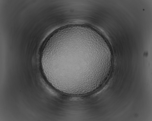 X0000091370835200708311524