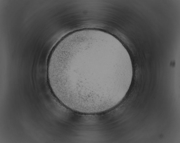 X0000091370836200708311524