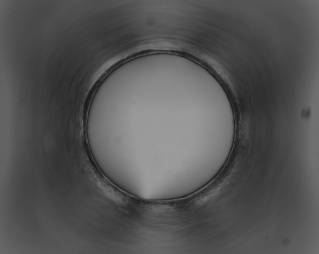 X0000091370837200708311524