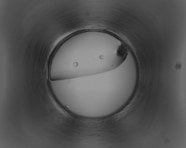 X0000091370838200708311524