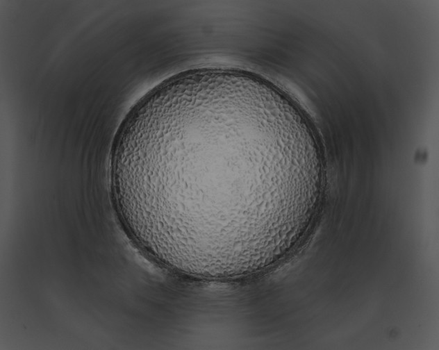 X0000091370839200708311524