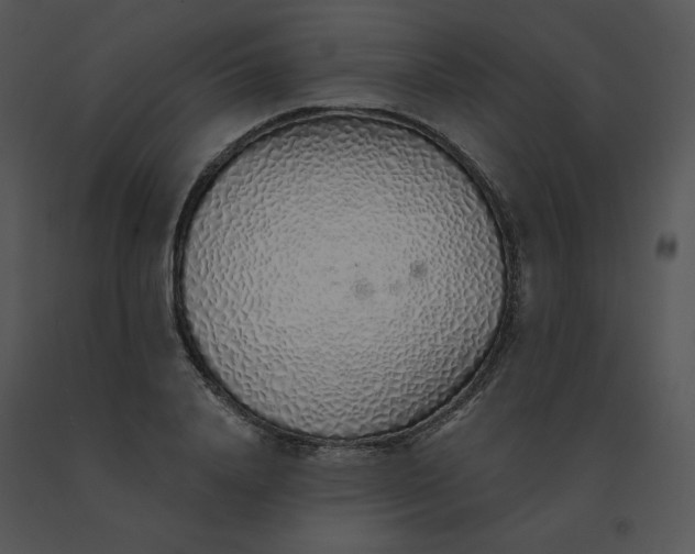 X0000091370840200708311524