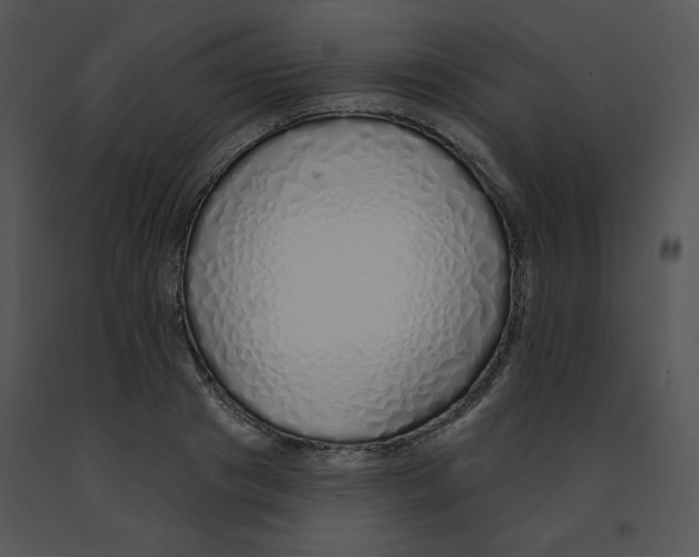 X0000091370841200708311524